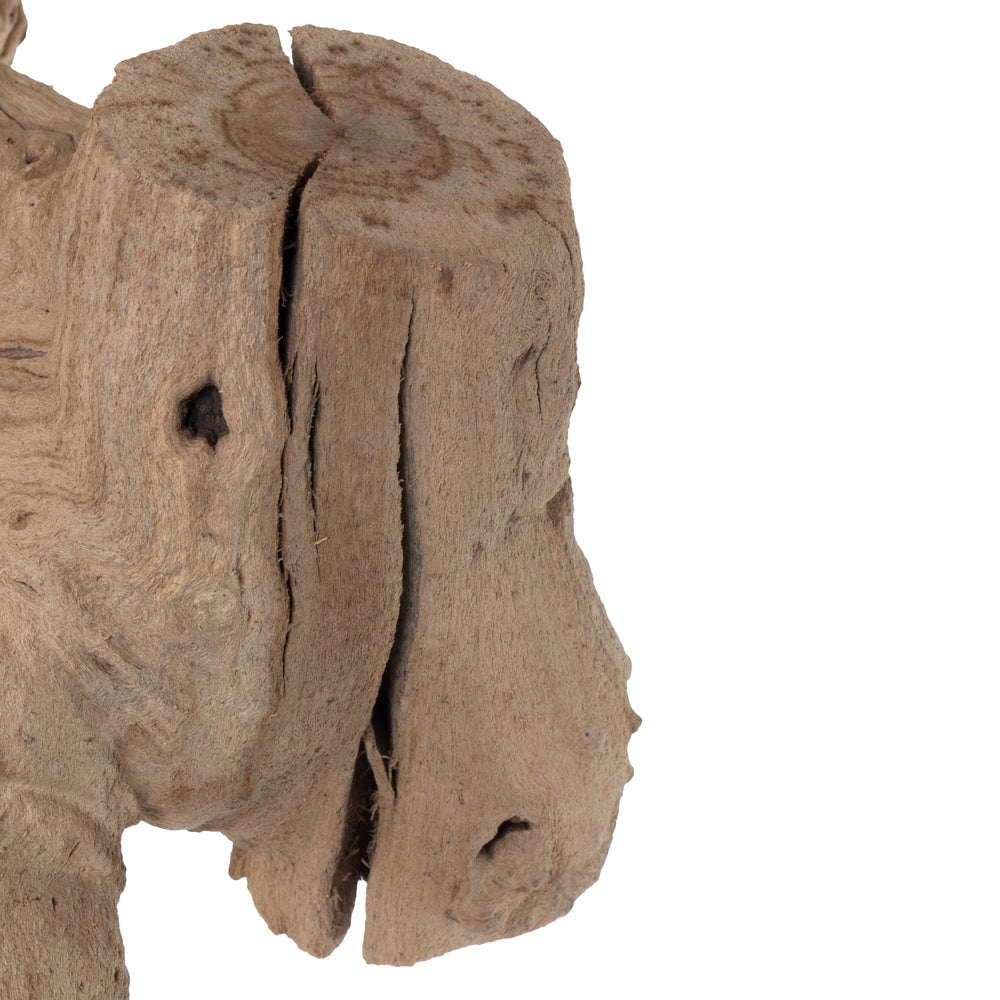 Vickerman Grapewood Sand Blasted trunk branchy Dried