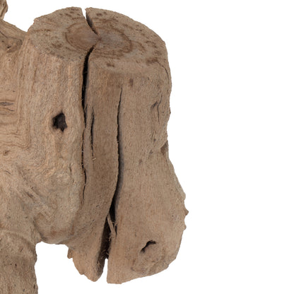 Vickerman Grapewood Sand Blasted trunk branchy Dried