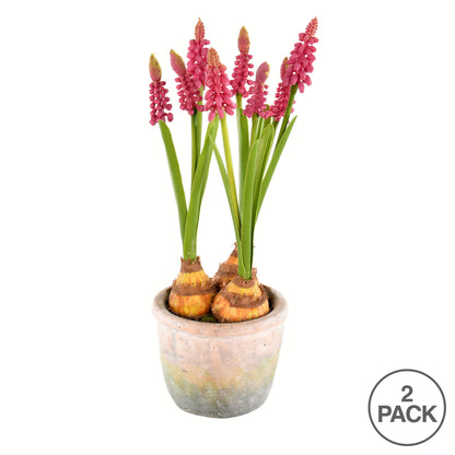 Vickerman 10" Artificial Mauve Hyacinths in Container Pack of 2