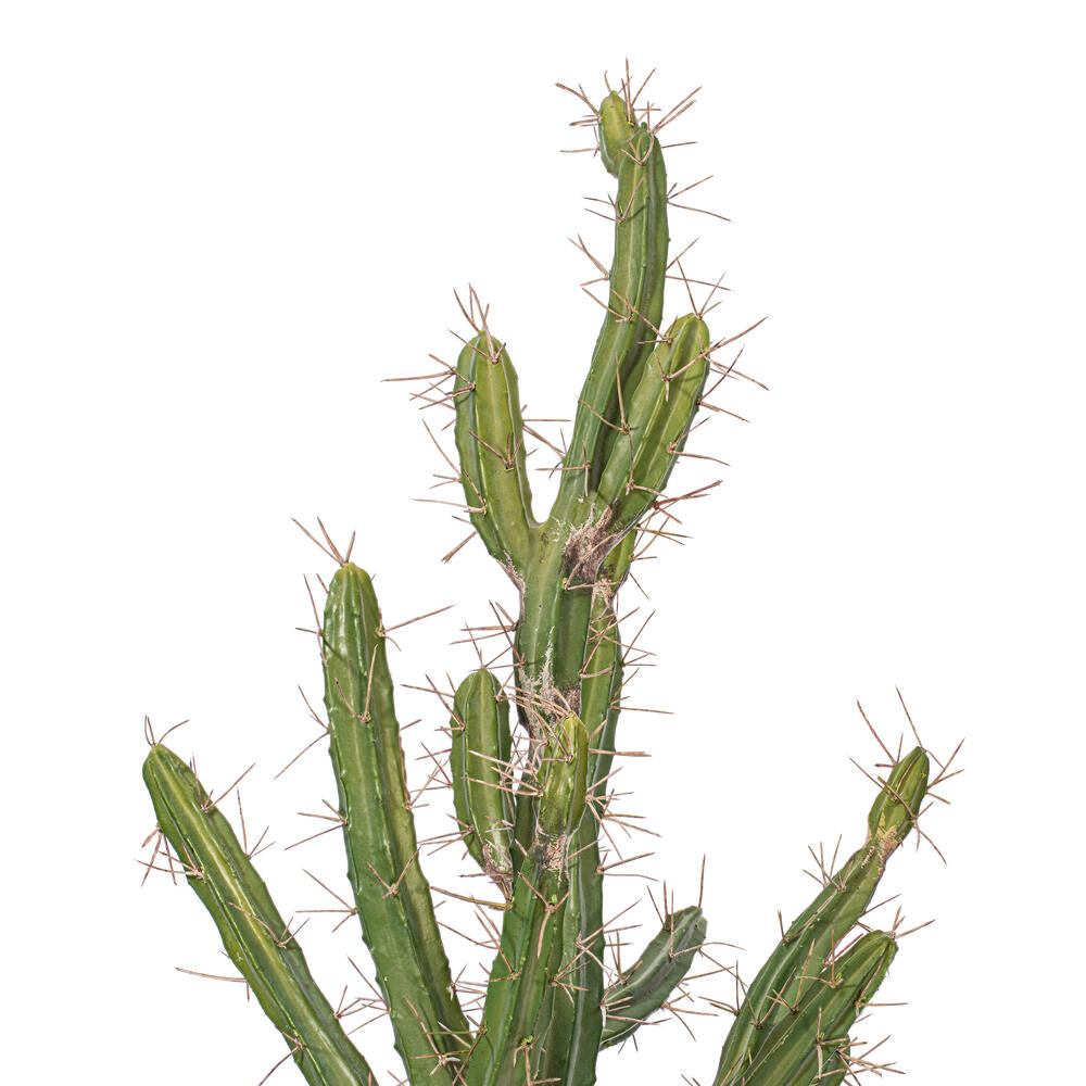 Vickerman 56.5" Artificial Green Cactus Black Plastic Planters Pot.
