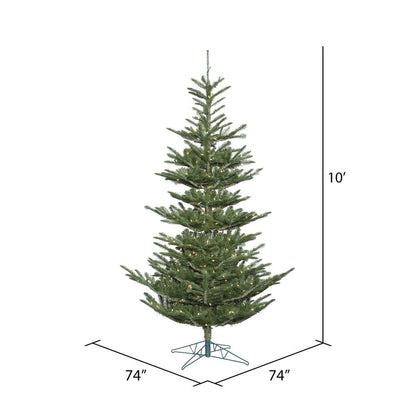 Vickerman 10' Alberta Spruce Artificial Christmas Tree Warm White Dura-lit LED Lights