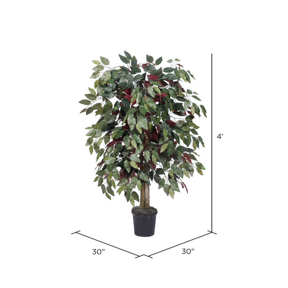 Vickerman 4' Artificial Capensia Bush Black Plastic Pot.