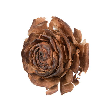 Vickerman Natural Botanicals 1.3"-1.8" Cedar Rose 100 Pieces per Polybag. 100 cedar roses per unit.