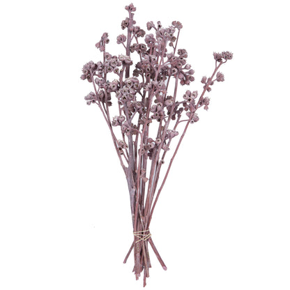 Vickerman Natural Botanicals 13" x 1-3" Red Gum Branch Erika Frosted 14 stems per unit