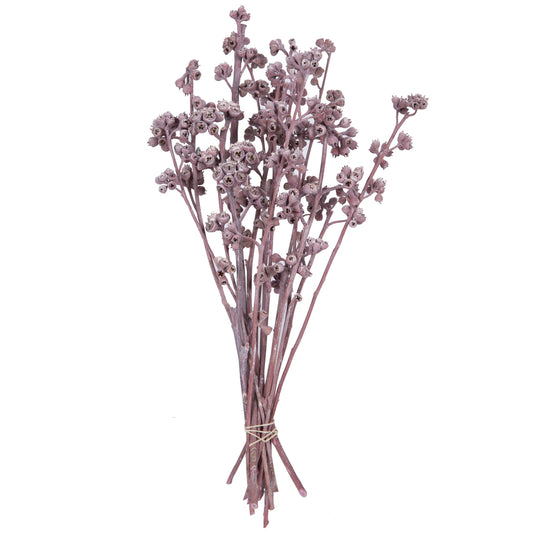 Vickerman Natural Botanicals 13" x 1-3" Red Gum Branch Erika Frosted 14 stems per unit