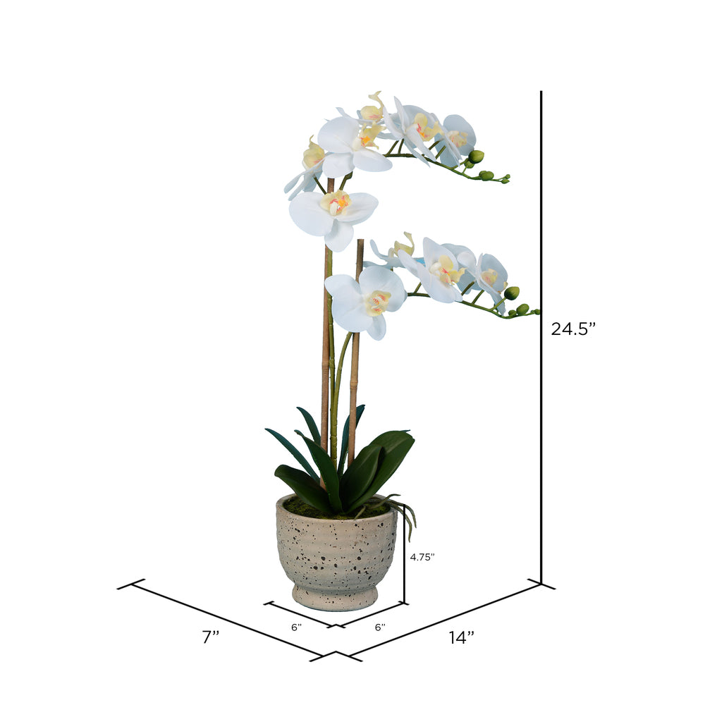 Vickerman 24.5" Artificial White Phalaenopsis In Cement Pot.
