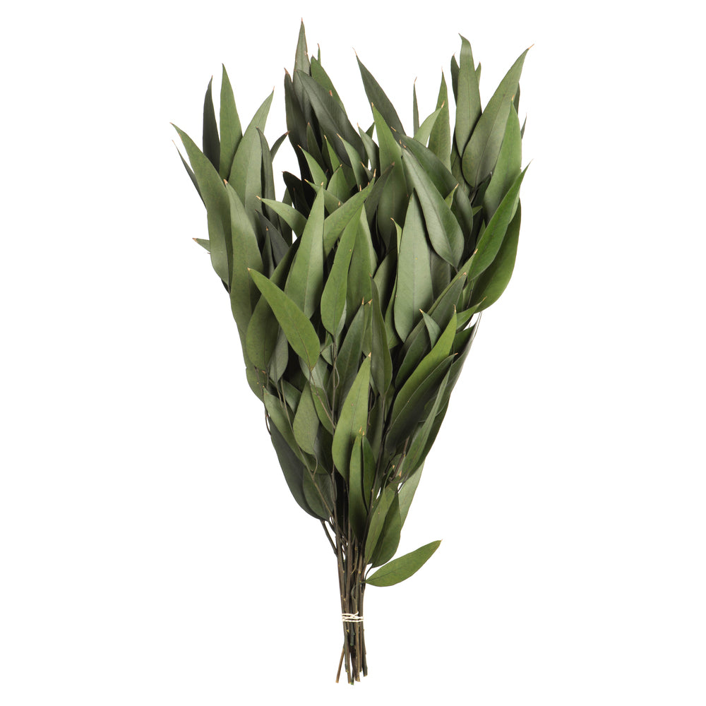 Vickerman 18" Green Weeping Willow Eucalyptus Foliage 5 oz Bundle Preserved