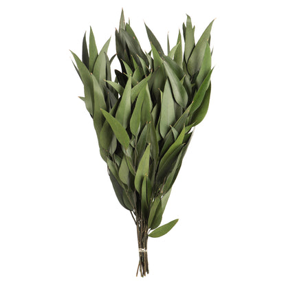 Vickerman 18" Green Weeping Willow Eucalyptus Foliage 5 oz Bundle Preserved