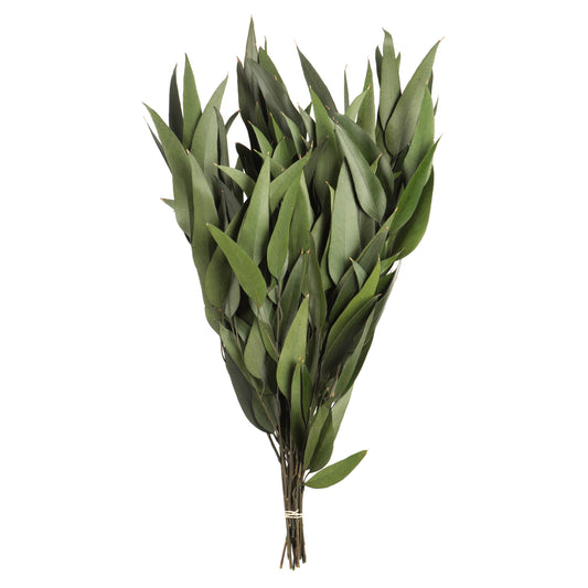 Vickerman 18" Green Weeping Willow Eucalyptus Foliage 5 oz Bundle Preserved