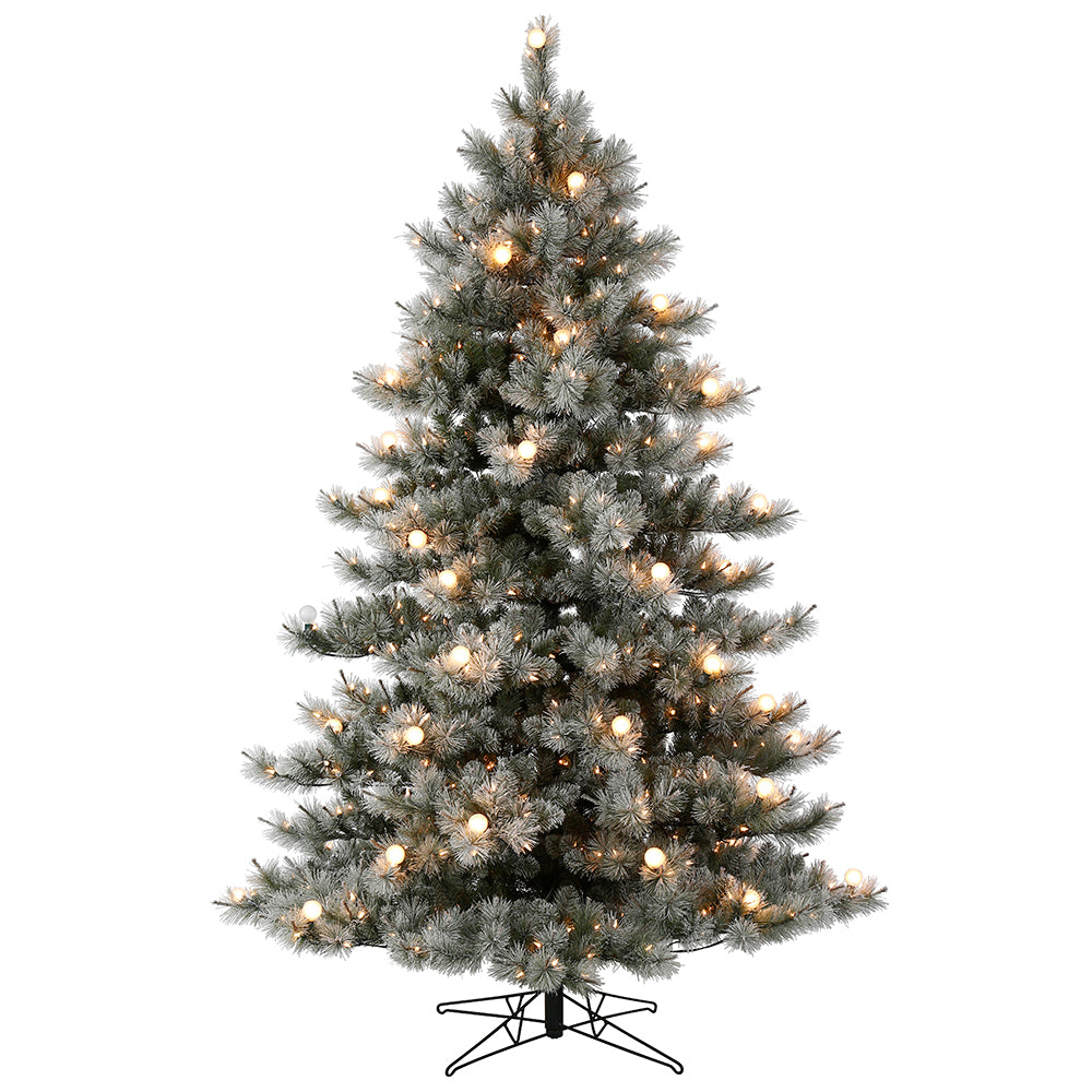 Vickerman 6.5' x 53" Flocked Cayce Pine Artificial Christmas Tree Warm White LED Lights