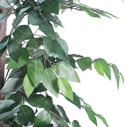 Vickerman 6' Artificial Ficus Black Plastic Pot
