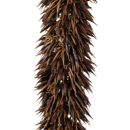 Vickerman 42-46" Natural Brown Cierus Stem. Includes 3 Stems Dried