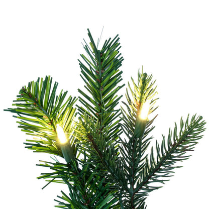 Vickerman 48" Douglas Fir Artificial Pre-Lit Teardrop Dura-Lit® Warm White LED Mini Lights.