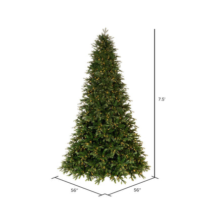 Vickerman 7.5' x 56" Douglas Fir Artificial Christmas Tree with Warm White LED Lights.