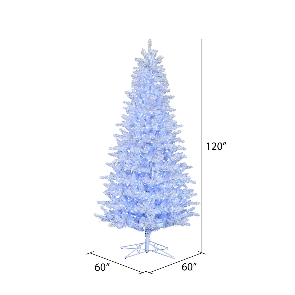 Vickerman 10' x 60" Shiny White Spruce Artificial Christmas Tree Pure White Low Voltage Wide Angle LED Twinkle Lights