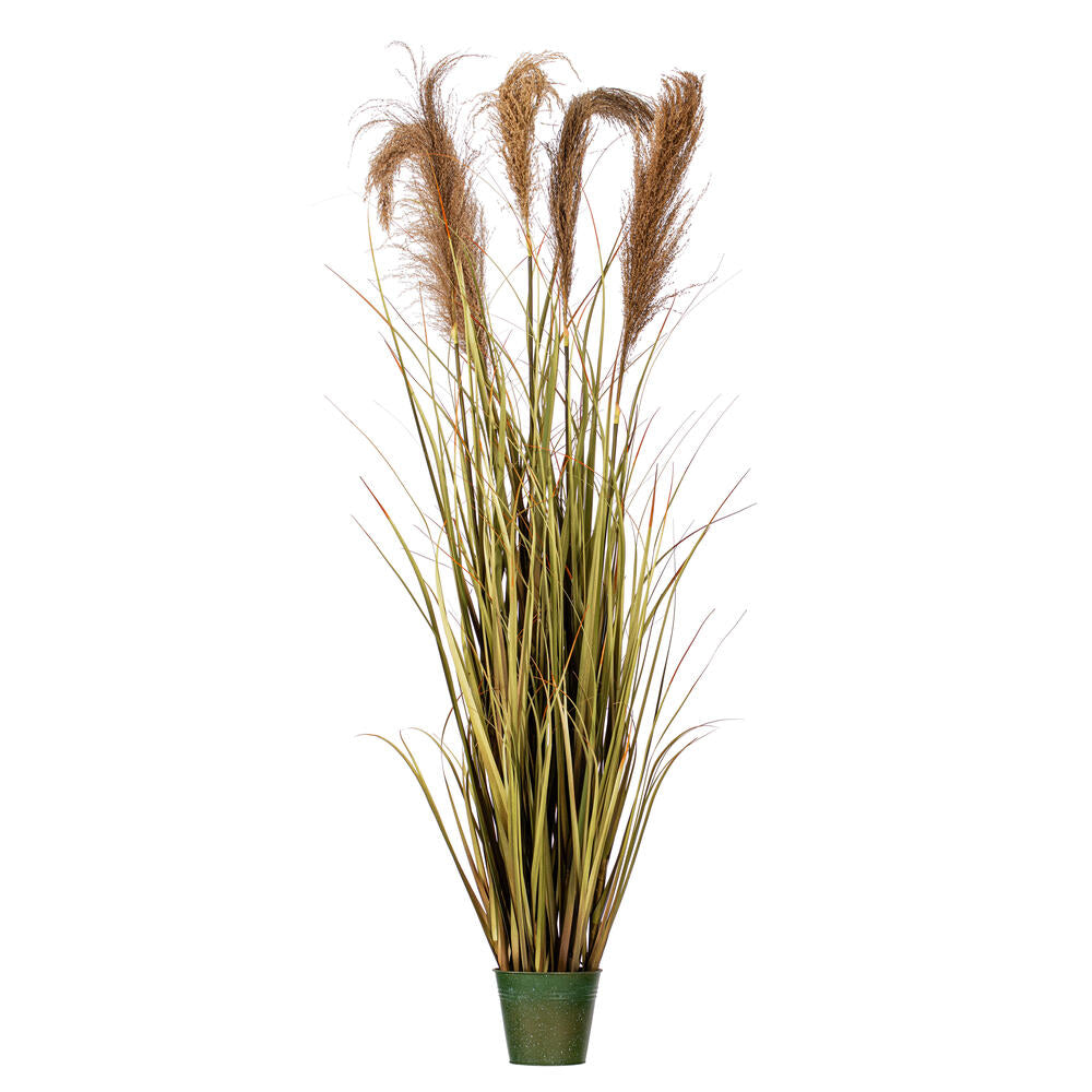 Vickerman 55" Artificial Potted Green Grass and Natural Reeds.