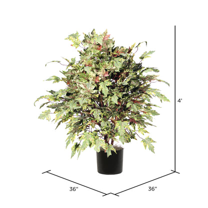 Vickerman 4' Artificial Frosted Maple Extra Full Bush Black Plastic Pot.