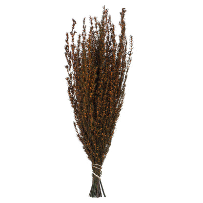 Vickerman 22-26" Autumn Grabia 5-6 oz Bundle Preserved