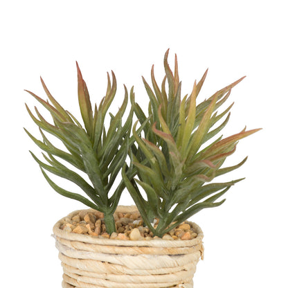 Vickerman 5" Artificial Potted Succulent Plants.