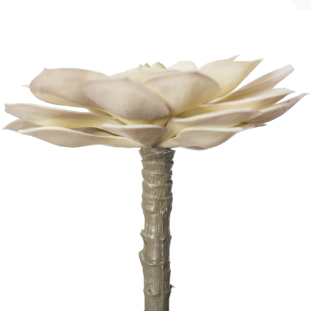 Vickerman 5" Artificial Succulent Pick Set of 4