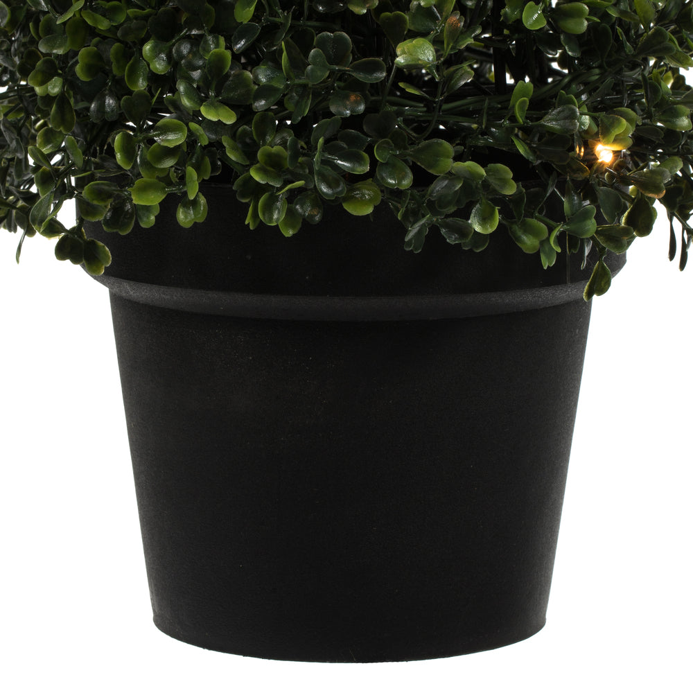Vickerman 3' Potted Artificial Boxwood Cone with 70 Warm White LED Lghts.