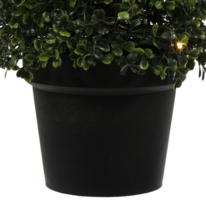 Vickerman 3' Potted Artificial Boxwood Cone with 70 Warm White LED Lghts.