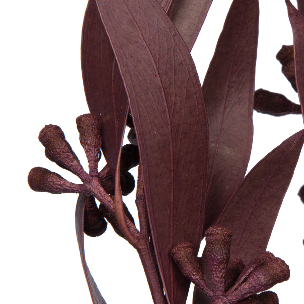 Vickerman Natural Botanicals 15-17" x 8" Natural Amber Fruit  Foliage - Brombeer