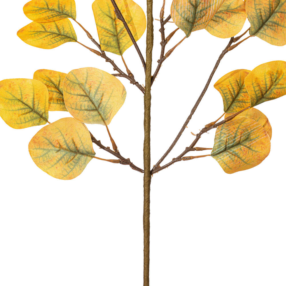 Vickerman 32" Yellow Green Artificial Silver Dollar Eucalyptus Leaf Spray 3 per bag.