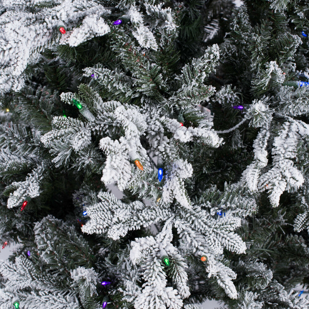 Vickerman 5.5' x 38" Flocked Kamas Fraser Artificial Christmas Tree Multi-color Dura-Lit® LED Mini Lights