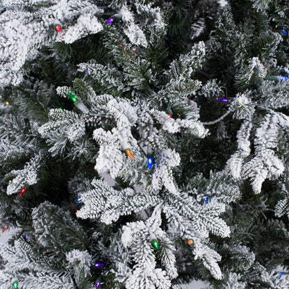 Vickerman 5.5' x 38" Flocked Kamas Fraser Artificial Christmas Tree Multi-color Dura-Lit® LED Mini Lights