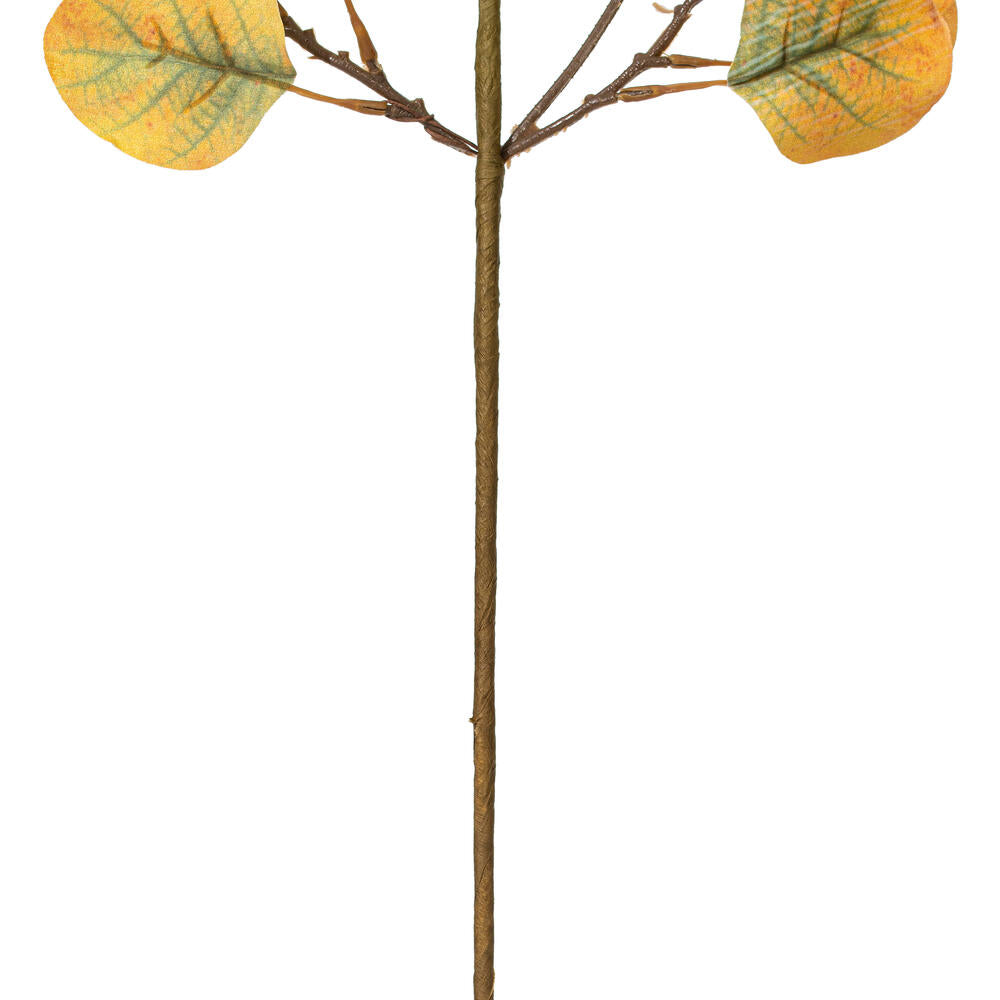 Vickerman 32" Yellow Green Artificial Silver Dollar Eucalyptus Leaf Spray 3 per bag.