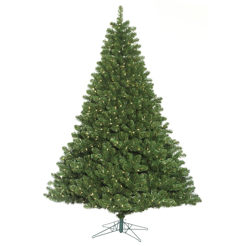 Vickerman 7.5' Oregon Fir Artificial Christmas Tree Wide Angle Single Mold Warm White LED Lights