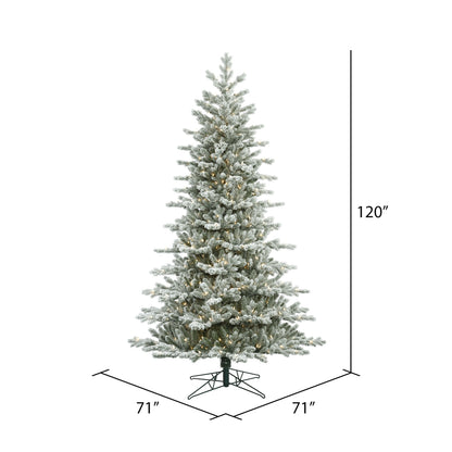 Vickerman 10' Frosted Eastern Fraser Fir Artificial Christmas Tree Clear Dura-lit Lights