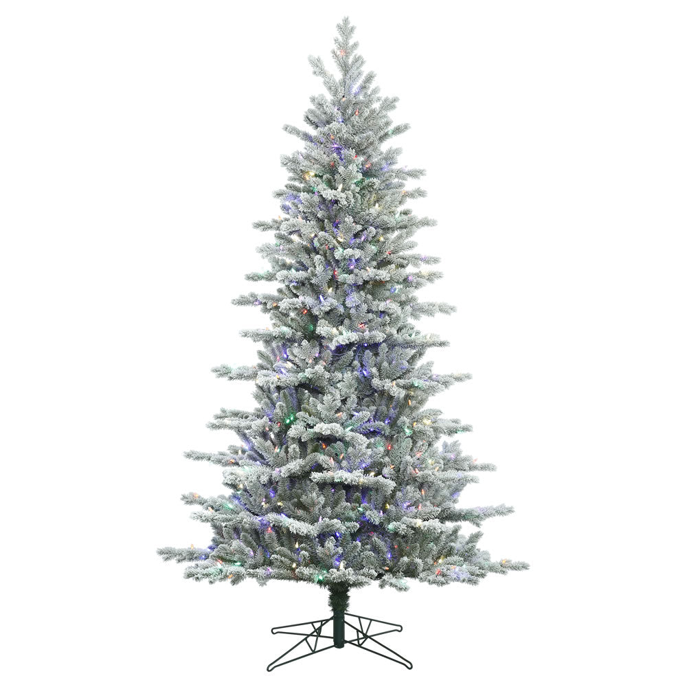 Vickerman 9' Frosted Eastern Fraser Fir Artificial Christmas Tree Multi-colored Dura-Lit LED lights