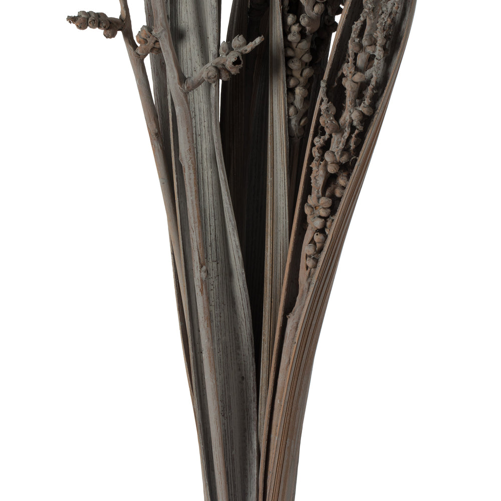 Vickerman 36" Gray Wash Bahia Spears with Seeds 2 pack Dried