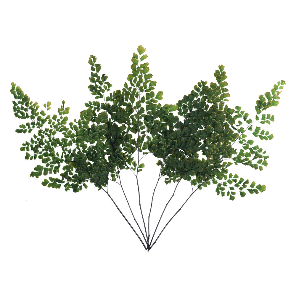 Vickerman 6-10" Oasis Green Fern - Adianthum - Petite Variety 6 stems Preserved