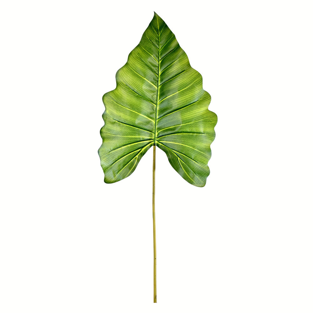 Vickerman 43" Artificial Green Calla Leaf 4/pk