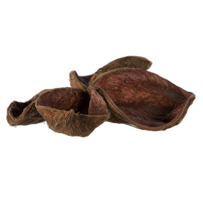 Vickerman Natural Botanicals 3.2"-4" Land Lotus. Includes 50 pieces per Pack.