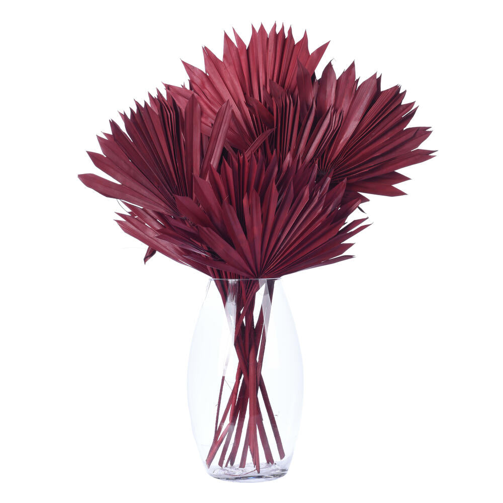 Vickerman Natural Botanicals 13.75 - 19.5" Deep Red Dried Palm Sun Spear 12 per bag.