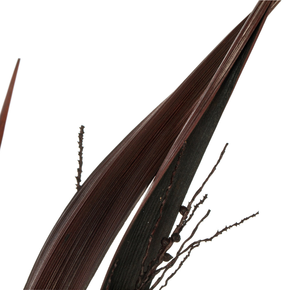Vickerman 36" Dark Brown Bahia Spears Seeded 9 stems Dried