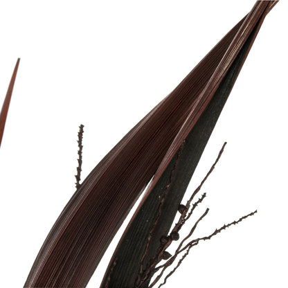 Vickerman 36" Dark Brown Bahia Spears Seeded 9 stems Dried