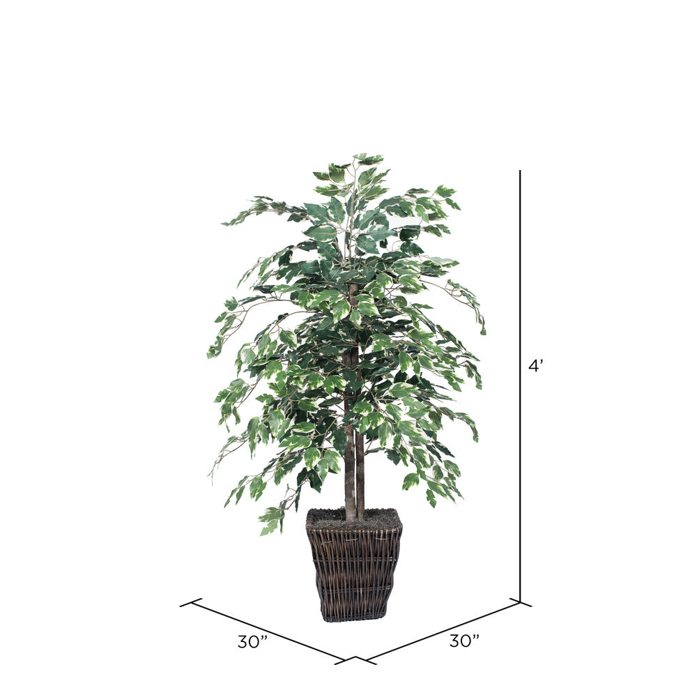 Vickerman 4' Artificial Variegated Ficus Bush Square Willow Basket.