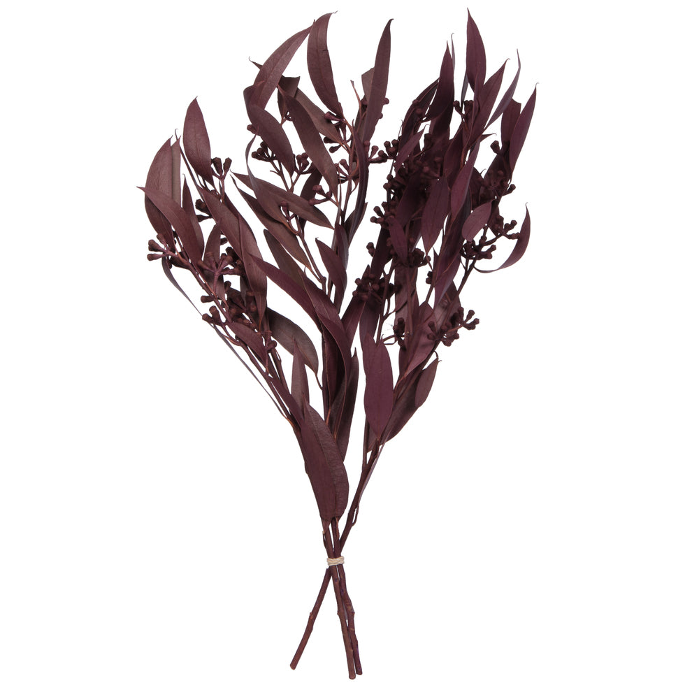 Vickerman Natural Botanicals 15-17" x 8" Natural Amber Fruit  Foliage - Brombeer