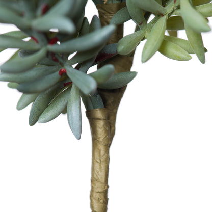 Vickerman 8" Artificial Green and Red Sedum Pick Set of 3