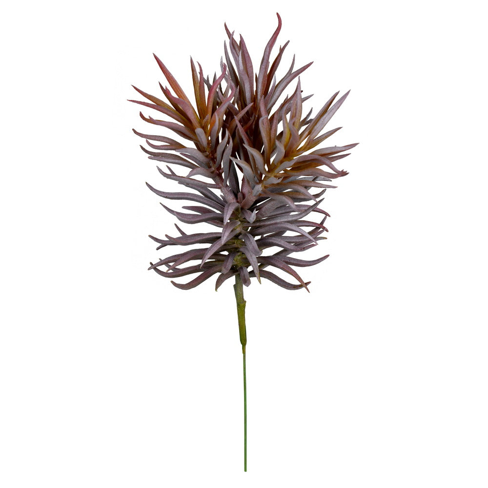 Vickerman 8" Artificial Assorted Succulent Picks Set of 3