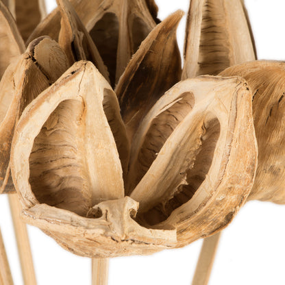 Vickerman 16" Bleached Sora Pod attached to a Wood Stem.  Includes 5 Stems per Pack Dried