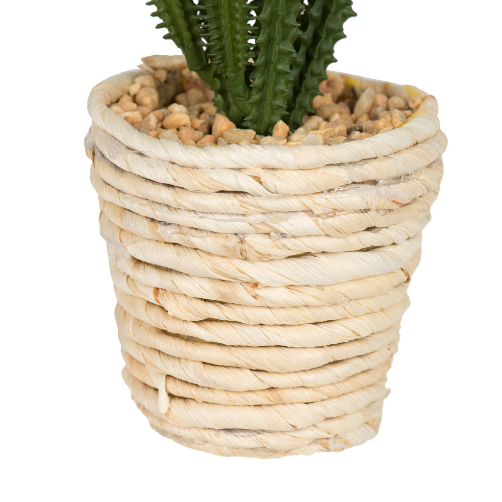 Vickerman 5" Artificial Potted Succulent Plants.