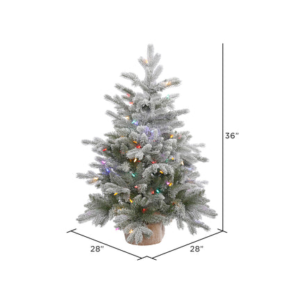 Vickerman 36" Frosted Sable Pine Artificial Christmas Tree Multi-Colored Dura-Lit® LED Lights.