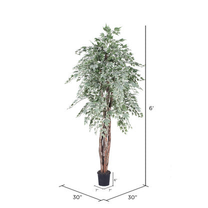 Vickerman 6' Artificial Silver Maple Executive Black Plastic Pot