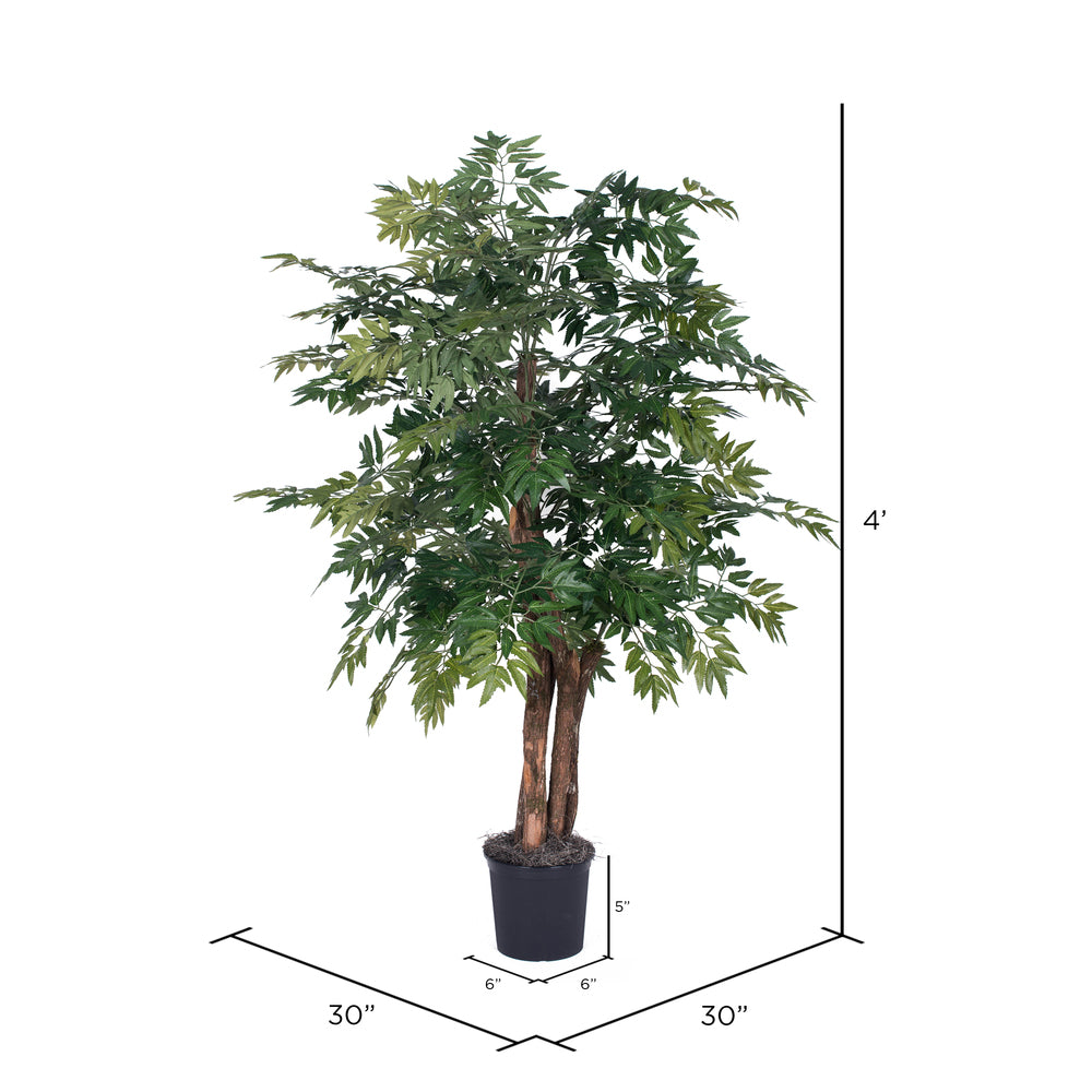 Vickerman 4' Artificial Ming Aralia Bush Black Plastic Pot.